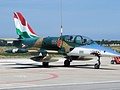 Hungarian Air Force L-39ZO in special shark color scheme