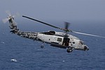 HS-5 'Nightdippers' SH-60F Seahawk 610 with 'digital' c/s