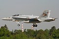 elite2006_36_fa-18c.jpg