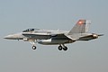 elite2006_37_fa-18c.jpg