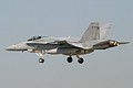 elite2006_38_fa-18c.jpg