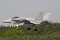 elite2006_39_fa-18c.jpg