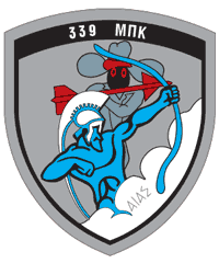 339 All Weather Squadron
