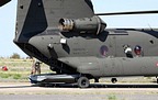 Italian Army ICH-47F Chinook M.M.81779