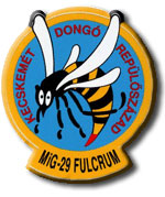 59th TFW 'Dongo' patch.