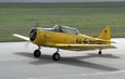 Also flying was this restored T-6 Texan.