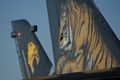 Tiger on the tail of the Greek A-7 and the tiger squadron insignia of a German Tornado.