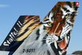 A better look at the beautiful tiger tail on the Swiss F-18C 'J-5011'.