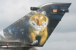 Beautiful tiger artwork on the Tornado's vertical tail