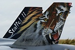 Close-up on the amazing tiger art on the Swiss Hornet