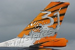 Close-up of the tiger tail on 31 Sqn F-16