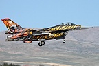 The 192 Filo won the Best Painted Tiger Aircraft trophy.