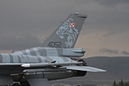 Close-up of the 6.ELT Tiger artwork on the F-16 tail