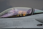 Close-up of the pilot and tiger mascot in the F-16C 4054