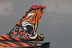 Close-up of the Tiger tailart on the 'Best Painted Tiger Aircraft' of 2015