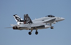 The Swiss Air Force's Staffel 11 F-18C Hornet with its Tiger tailart, also seen previously