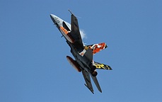 Ala 15's other F/A-18A+ Hornet with Tiger markings of 2010