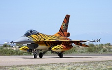 Belgian 31 Sqn F-16AM in tiger livery