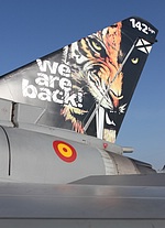 Close-up of 142 Esc Tiger tail on its Typhoon