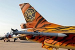 Belgian Air Force 31 Sqn F-16AM tiger tailart