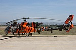 3 RHC Gazelle in tiger livery