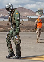 Spanish Air Force Hornet pilot