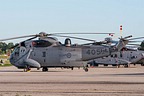 CH-124A Sea King 12405 at Buttonville Municipal Airport (CYKZ)