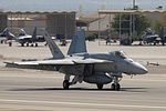 F/A-18E Super Hornet of VFA-143, with several Eagles in the background