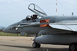 Spanish Air Force EF-18A+ Hornet