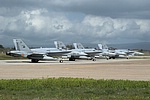 Spanish Air Force EF-18A+ Hornet