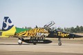 tiger_1.jpg