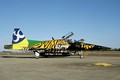 tiger_7.jpg